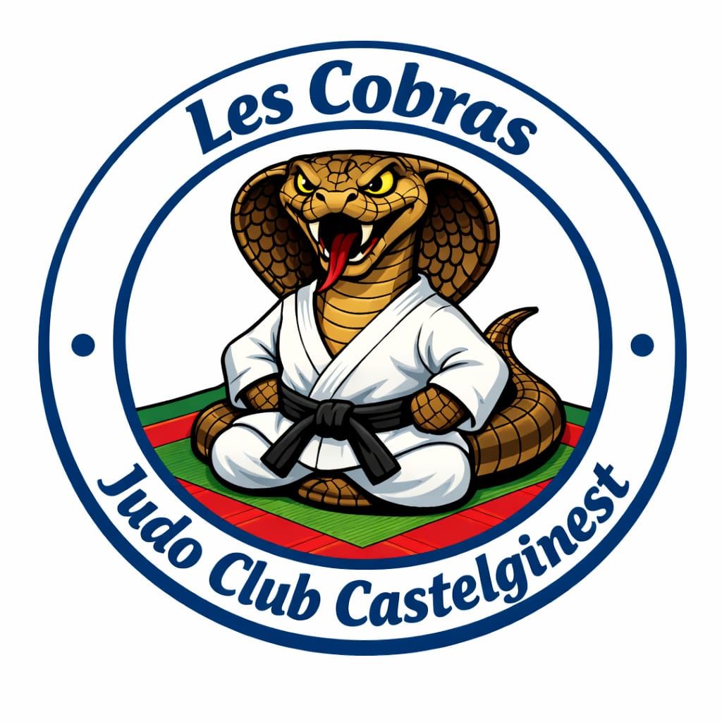 Logo JUDO CLUB CASTELGINEST