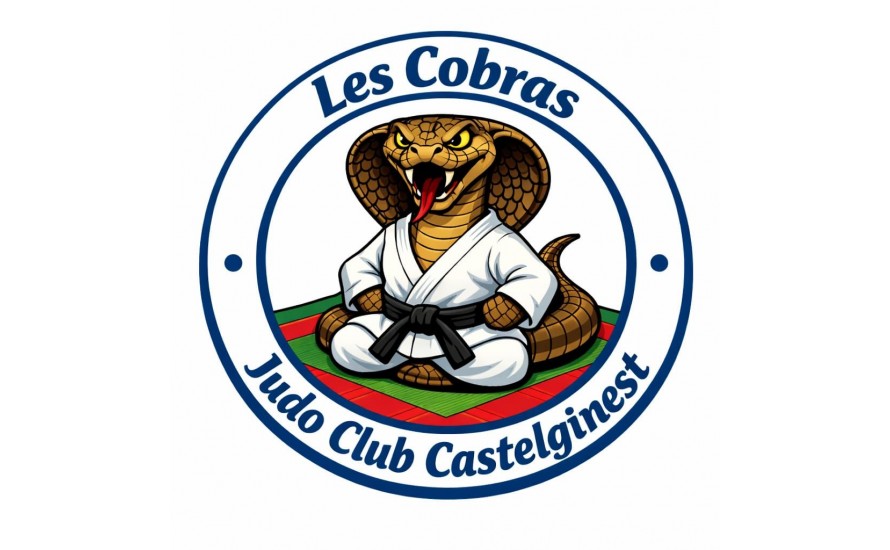 Logo du JUDO CLUB CASTELGINEST